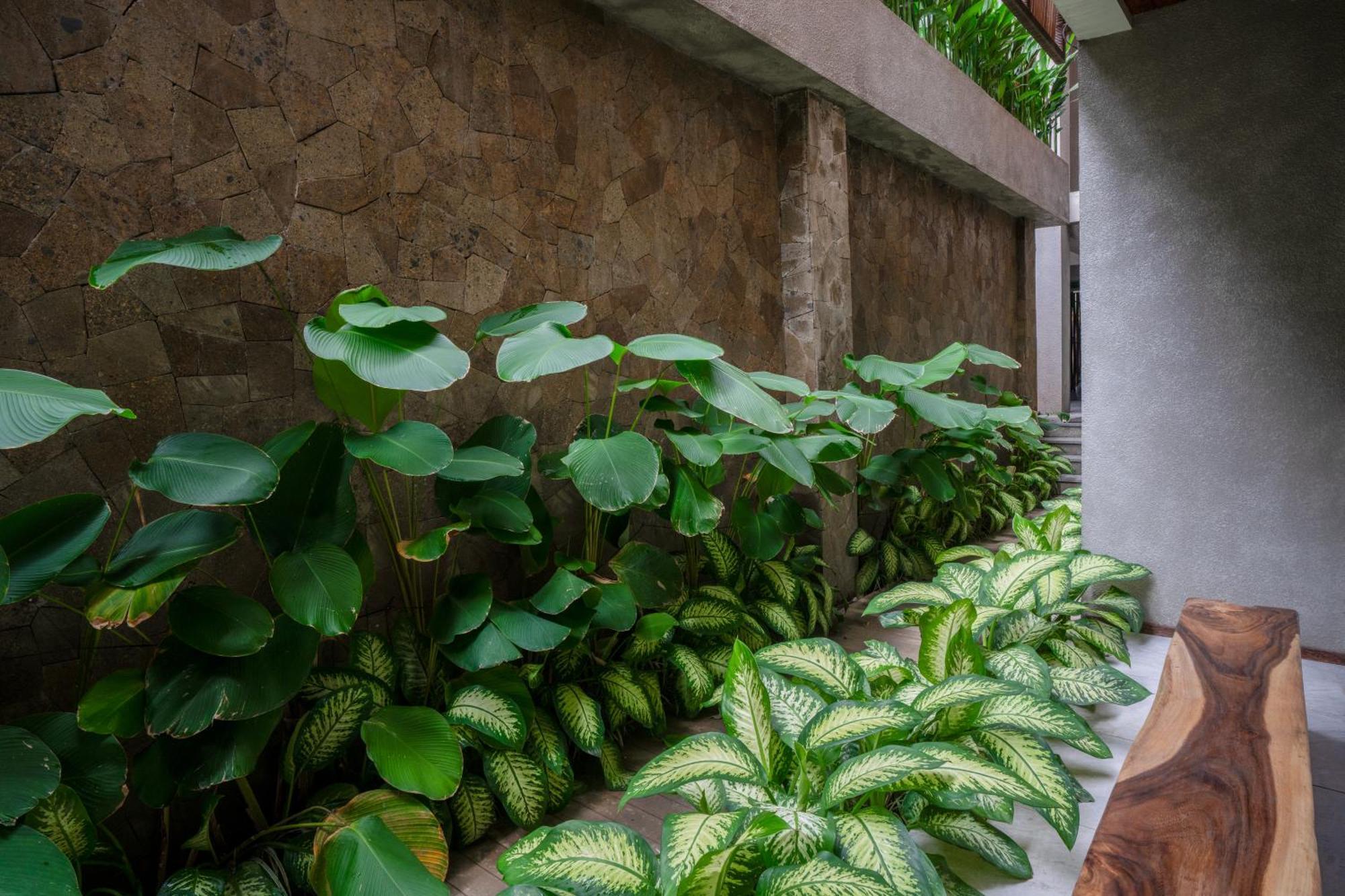Kammora Living And Villas - Bali Invest Club Canggu Buitenkant foto